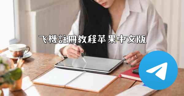 飞機註冊教程苹果中文版