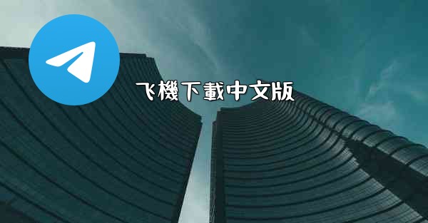 飞機下載中文版