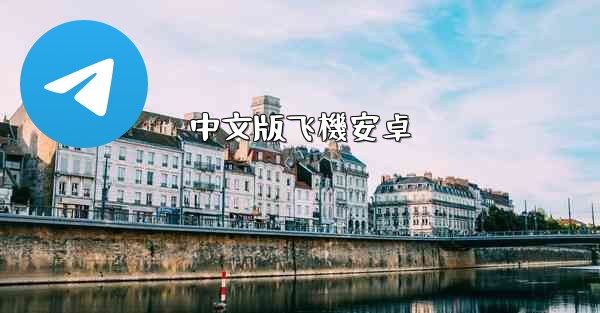 中文版飞機安卓