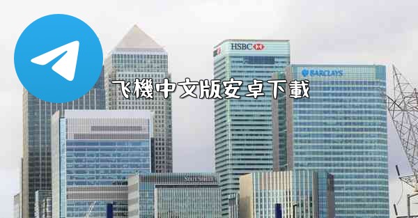 飞機中文版安卓下載