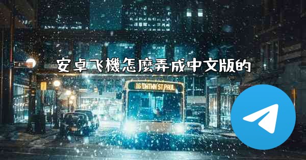 安卓飞機怎麼弄成中文版的