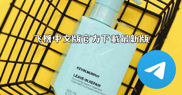 飞機中文版官方下載最新版