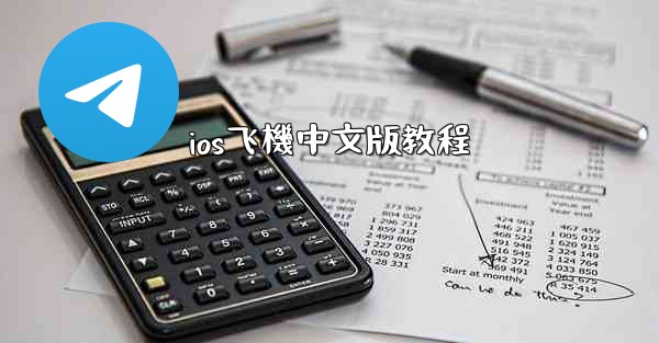 ios飞機中文版教程