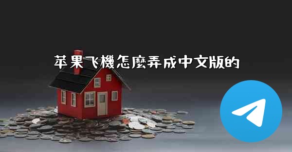 苹果飞機怎麼弄成中文版的
