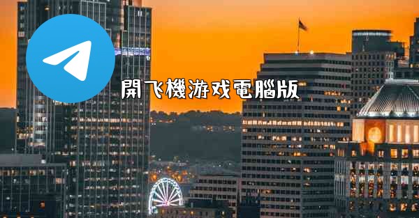 開飞機游戏電腦版