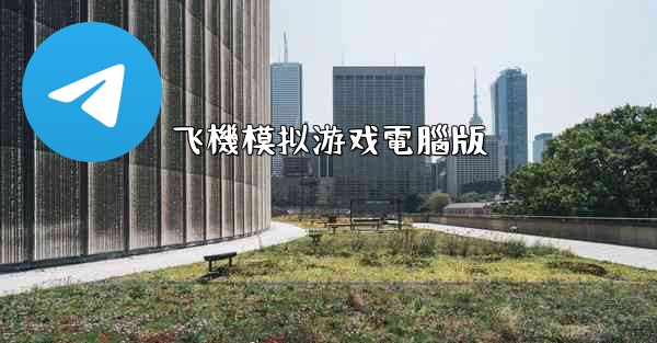 飞機模拟游戏電腦版