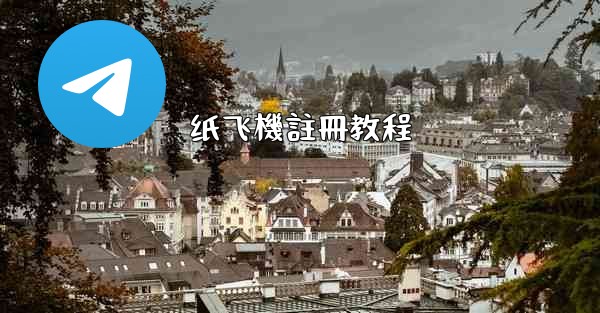 纸飞機註冊教程