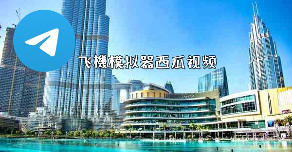 飞機模拟器西瓜视频
