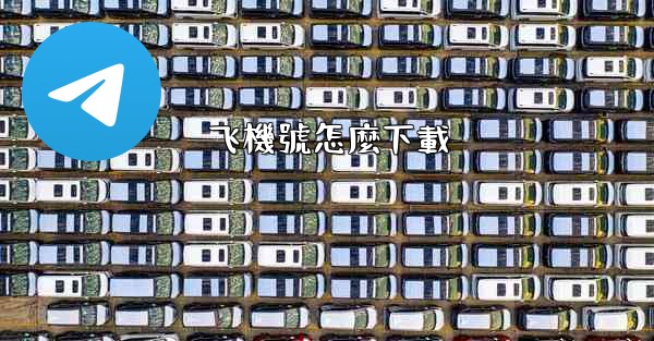 飞機號怎麼下載