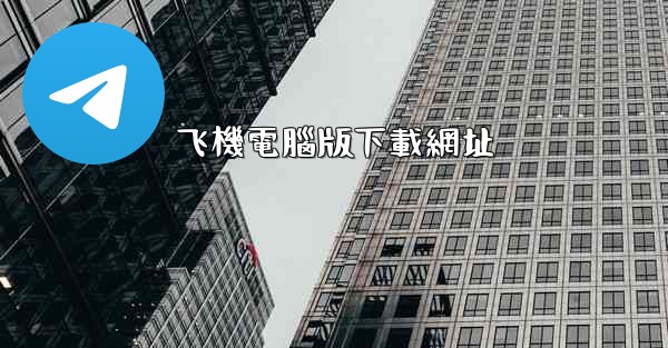 飞機電腦版下載網址