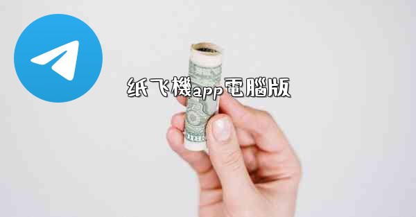 纸飞機app電腦版