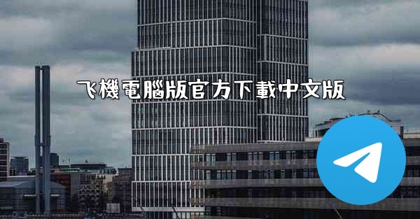 飞機電腦版官方下載中文版