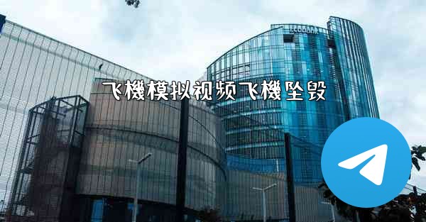 <b>飞機模拟视频飞機坠毁</b>