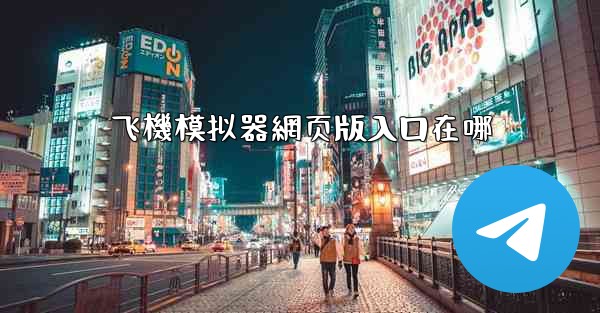 飞機模拟器網页版入口在哪