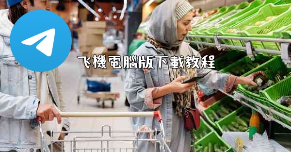 飞機電腦版下載教程