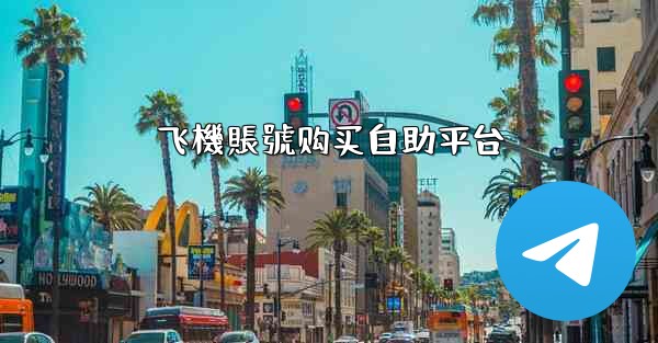 飞機賬號购买自助平台