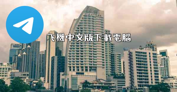 飞機中文版下載電腦