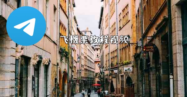 飞機票教程视频