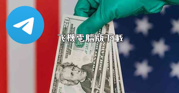 飞機電腦版下載