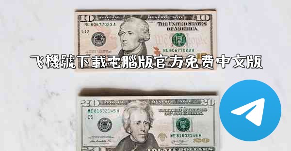 飞機號下載電腦版官方免费中文版