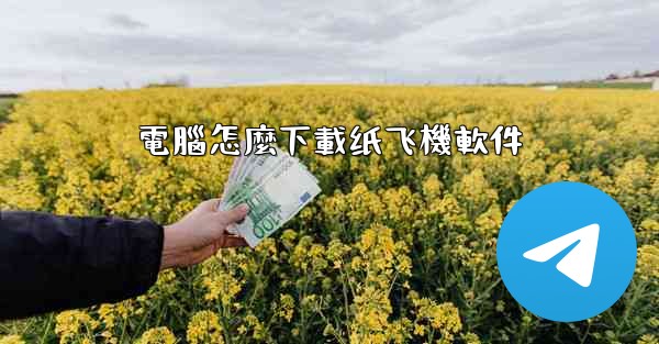 電腦怎麼下載纸飞機軟件