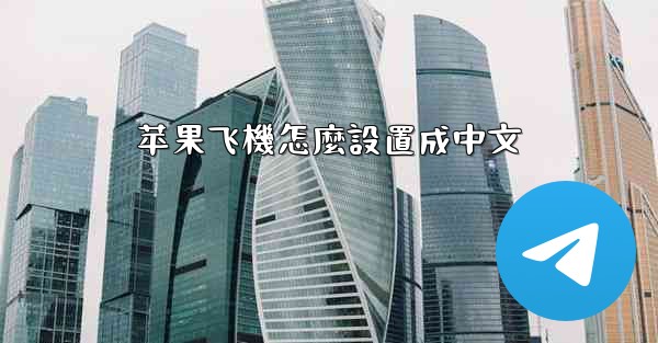 苹果飞機怎麼設置成中文