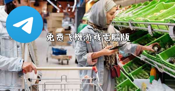 免费飞機游戏電腦版