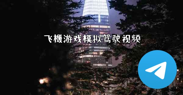 飞機游戏模拟驾驶视频