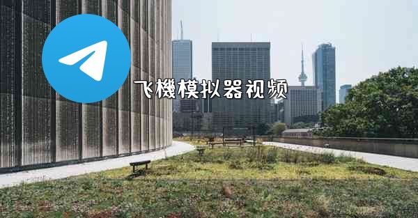 飞機模拟器视频
