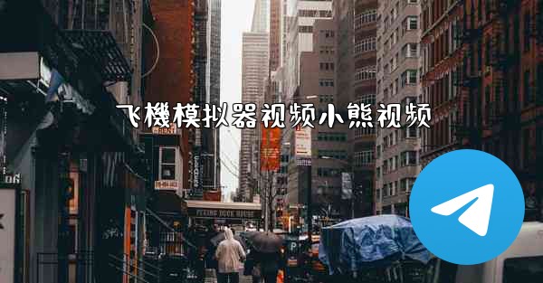 飞機模拟器视频小熊视频
