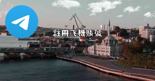 註冊飞機賬號