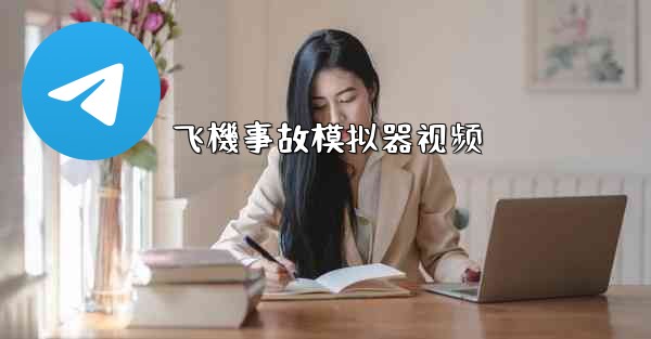 飞機事故模拟器视频