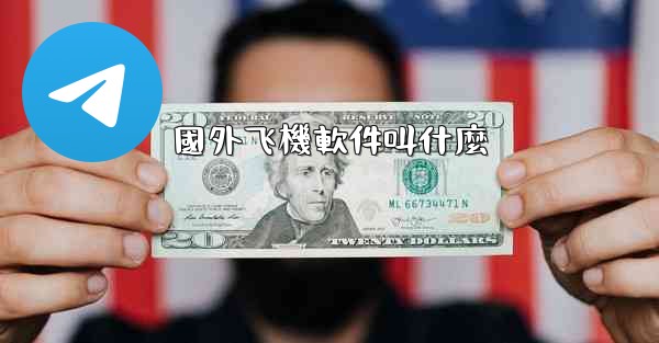 國外飞機軟件叫什麼