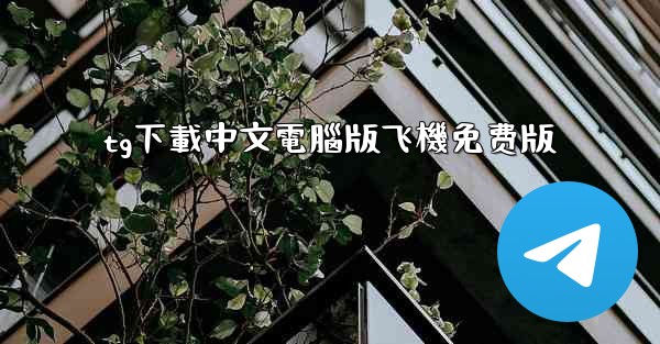 tg下載中文電腦版飞機免费版