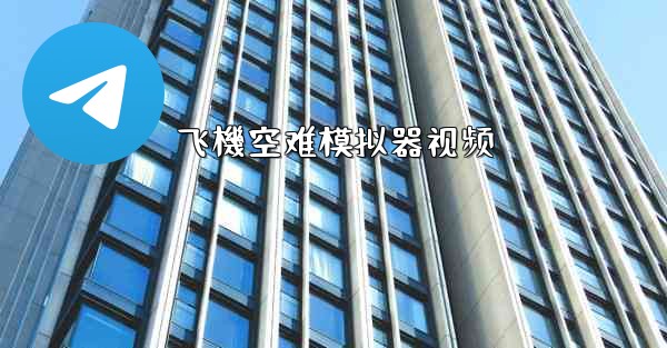 飞機空难模拟器视频