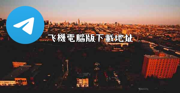 飞機電腦版下載地址