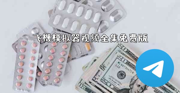 飞機模拟器视频全集免费版