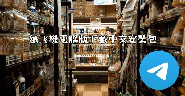 纸飞機電腦版下載中文安裝包