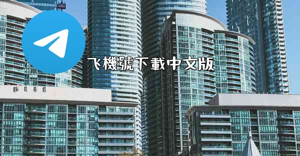 飞機號下載中文版