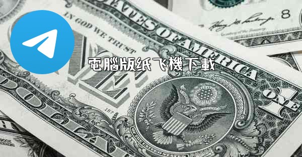 電腦版纸飞機下載