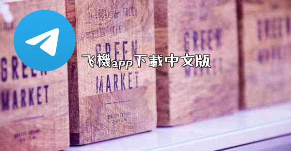 飞機app下載中文版