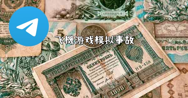 飞機游戏模拟事故