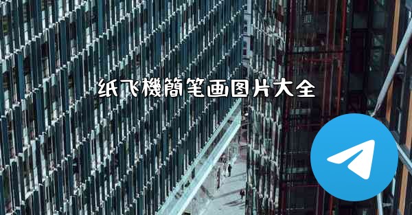 纸飞機簡笔画图片大全