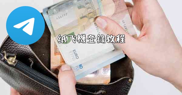 纸飞機登錄教程