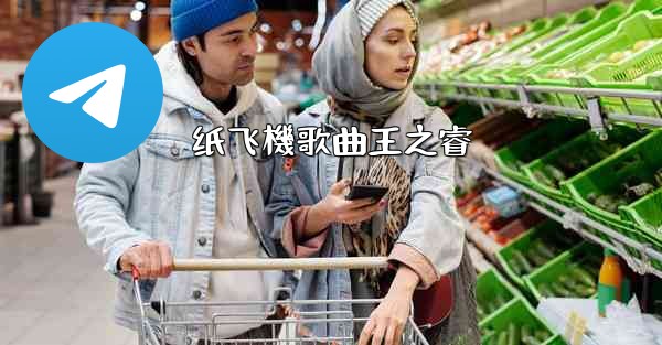 纸飞機歌曲王之睿