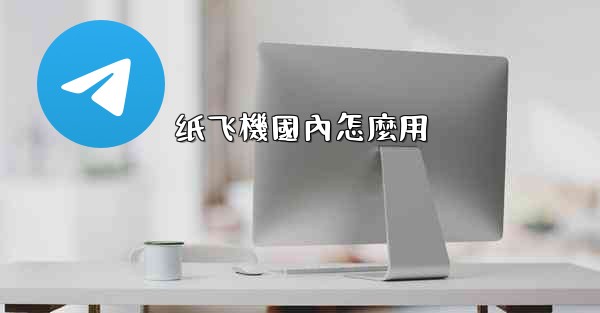 纸飞機國內怎麼用