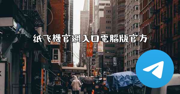 纸飞機官網入口電腦版官方