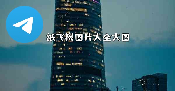 纸飞機图片大全大图