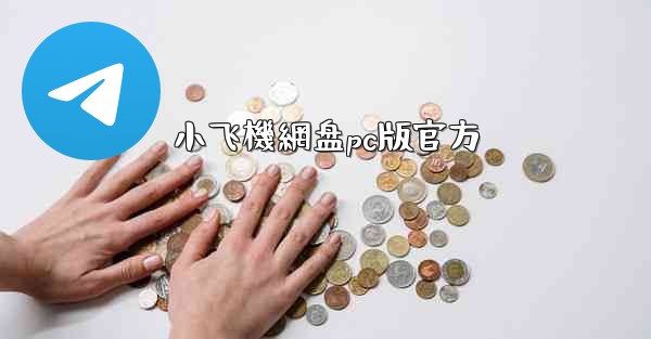 小飞機網盘pc版官方