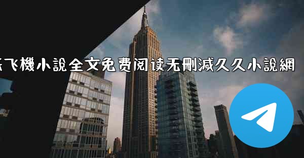 纸飞機小說全文免费阅读无刪減久久小說網